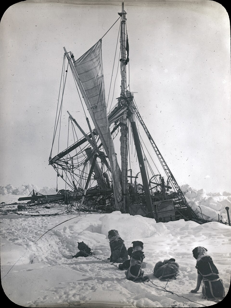 Endurance sinking in the Weddell Sea as dogs watch from the ice