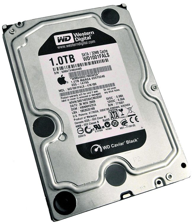 Photograph of Western Digital Caviar Black WD1001FALS